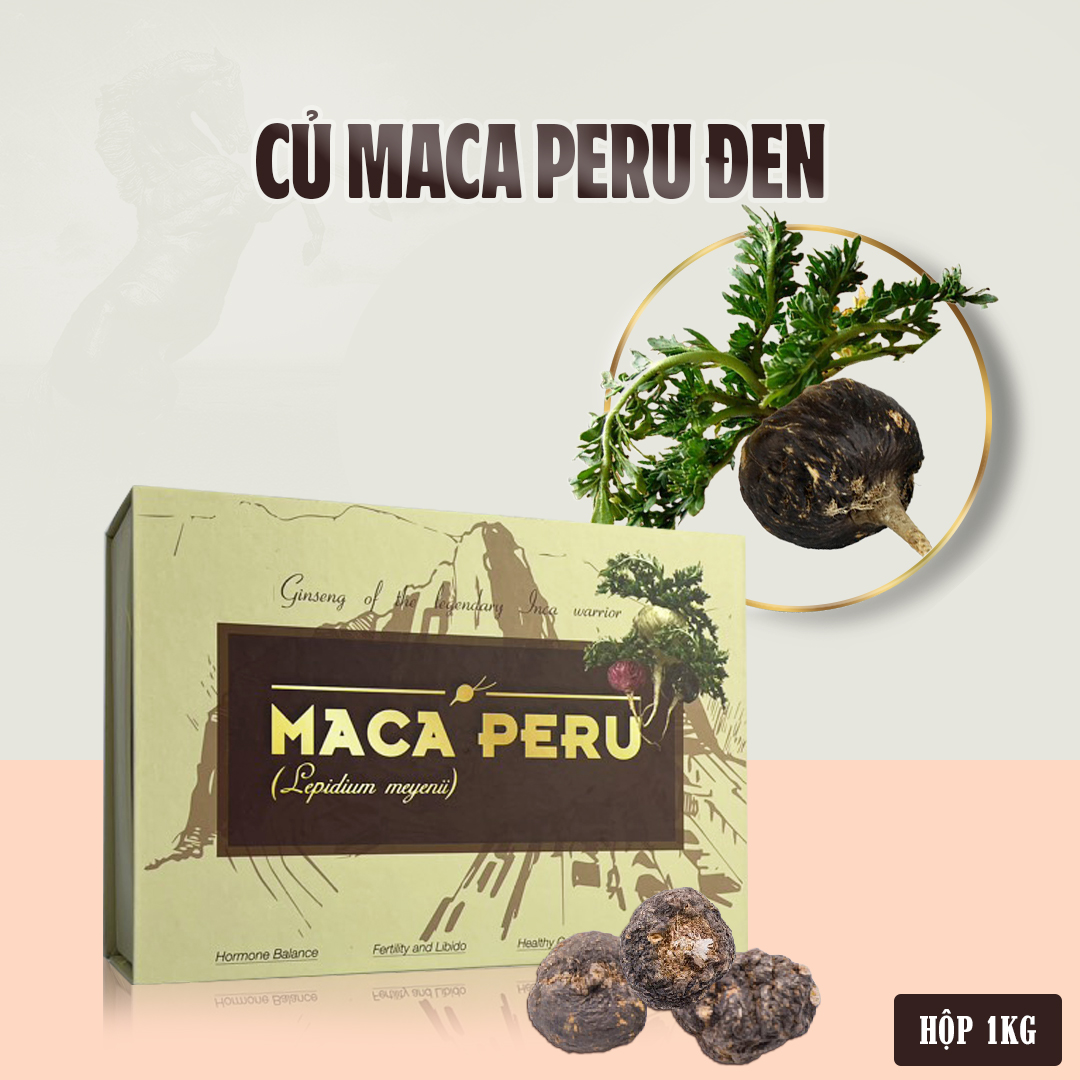 CỦ SÂM MACA PERU (LEPIDIUM MEYENII) KHÔ MÀU ĐEN - Ảnh 4