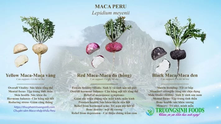 Royal D'Inca – Sâm Maca Peru và thảo mộc.